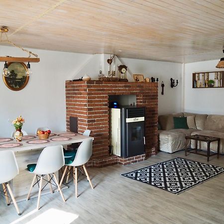 Holiday House Văliug מראה חיצוני תמונה