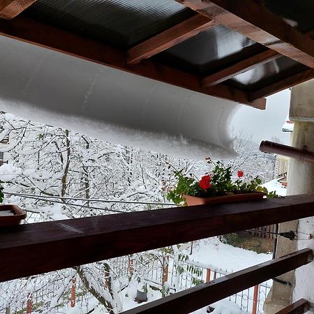 Holiday House Văliug מראה חיצוני תמונה