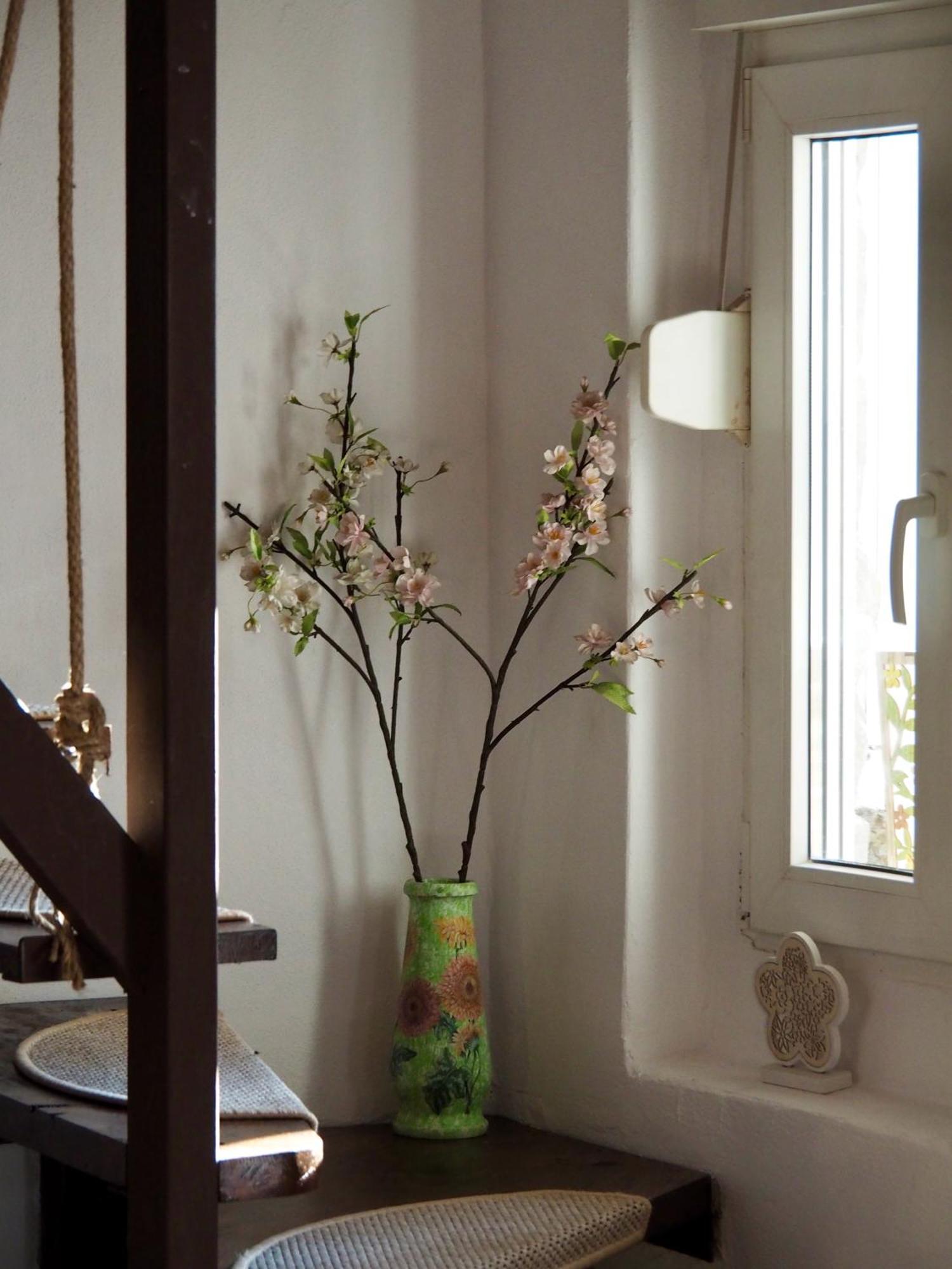 Holiday House Văliug מראה חיצוני תמונה