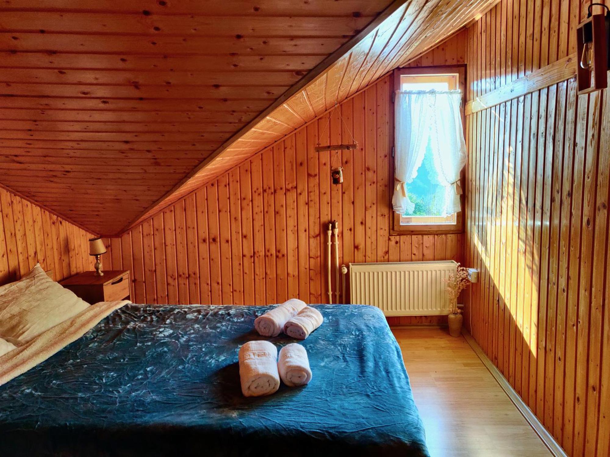 Holiday House Văliug מראה חיצוני תמונה