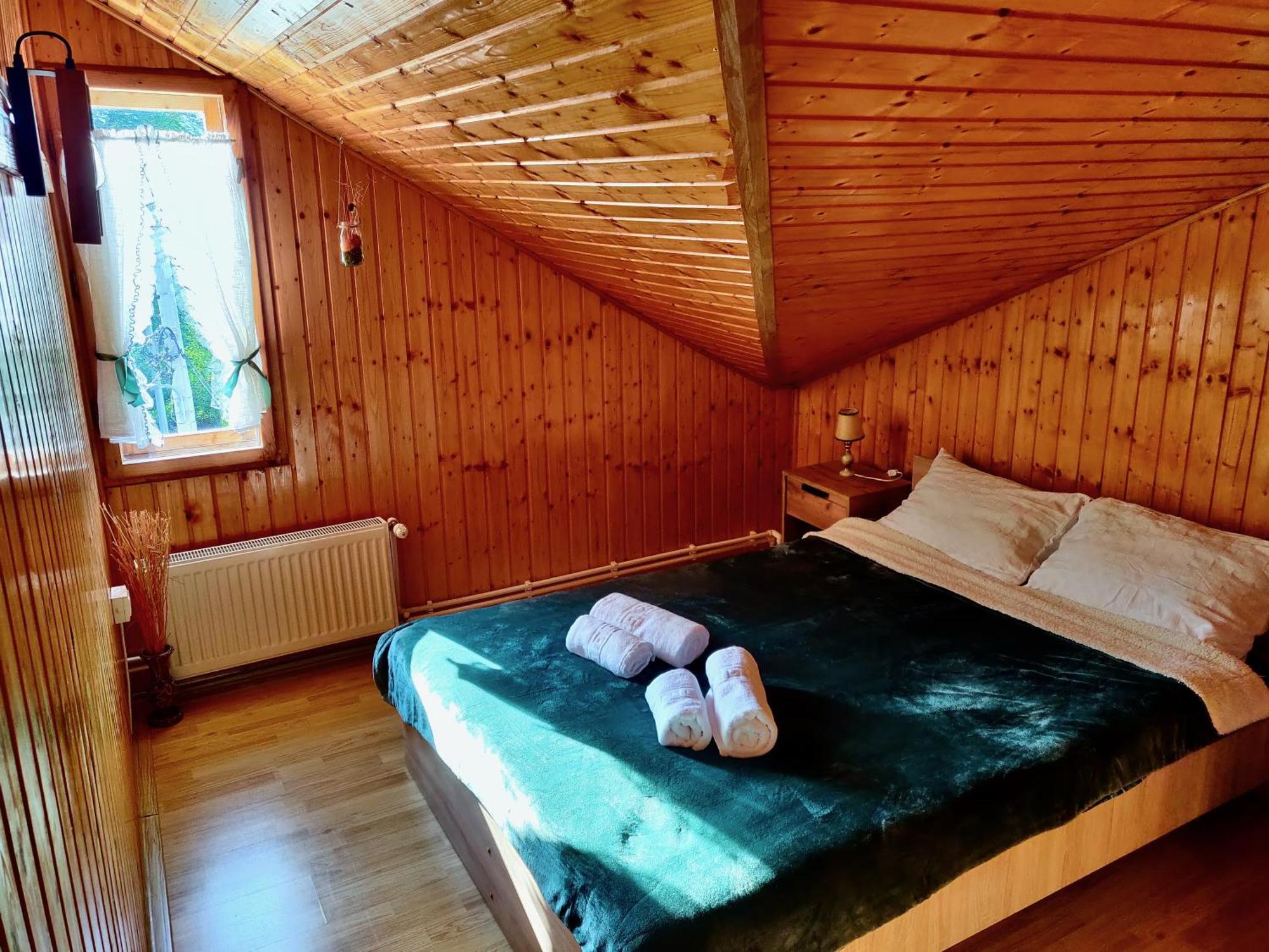 Holiday House Văliug מראה חיצוני תמונה