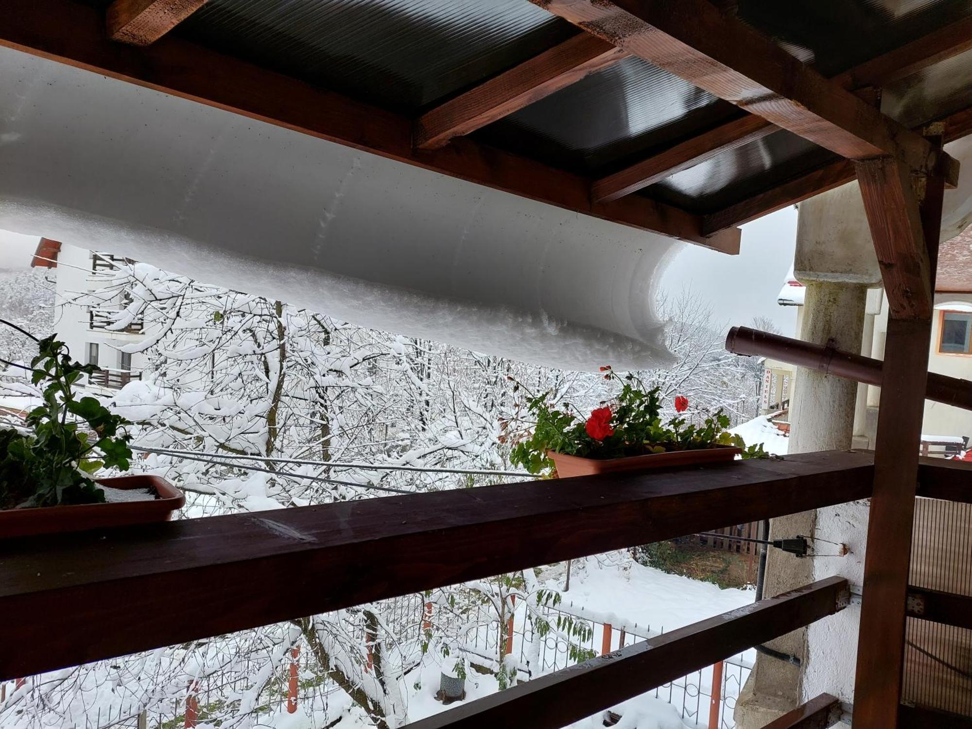 Holiday House Văliug מראה חיצוני תמונה